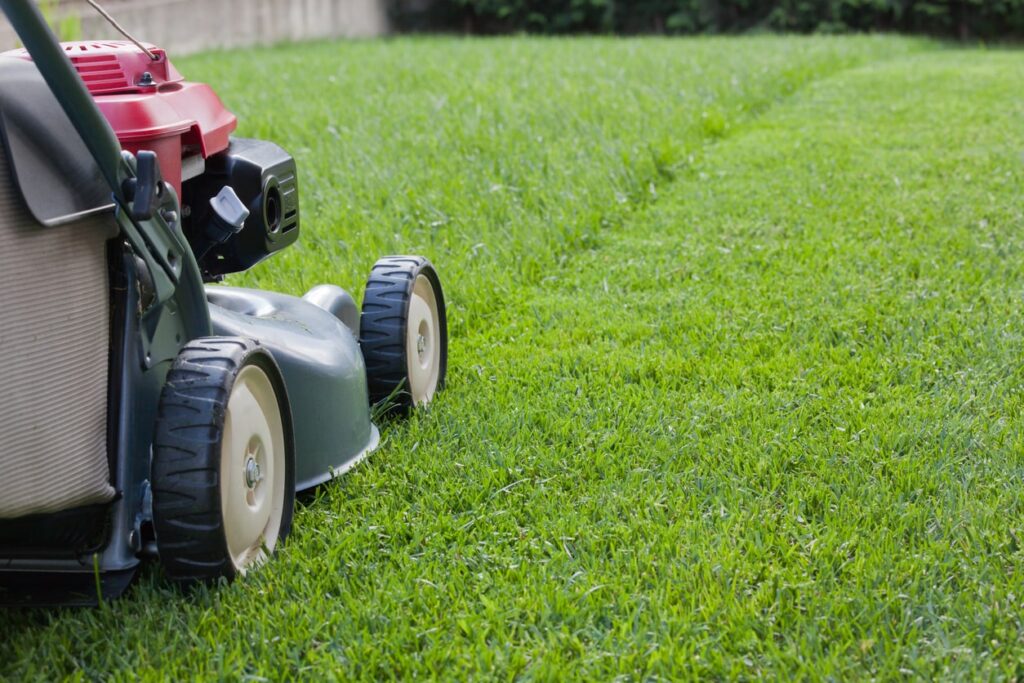 lawn mowing services in virginia beach