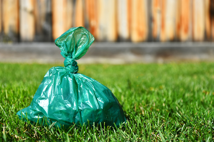 pooper scooping bag